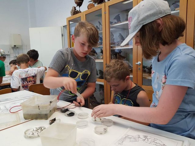 Abschlussgrillen der Klasse 4b im Biologiezentrum Bustedt